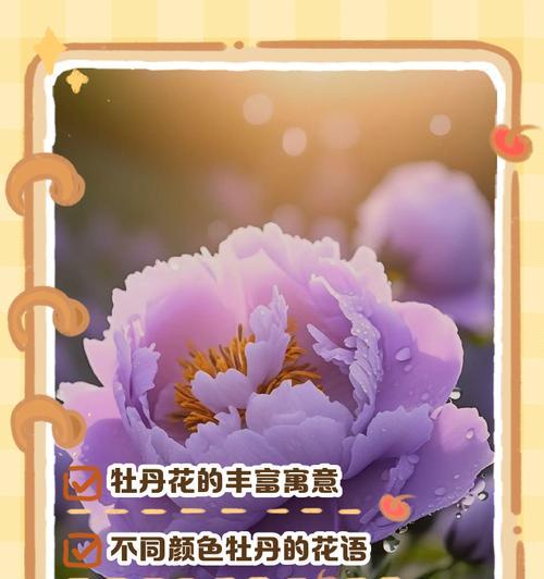 藕粉色的花有哪些美好寓意？