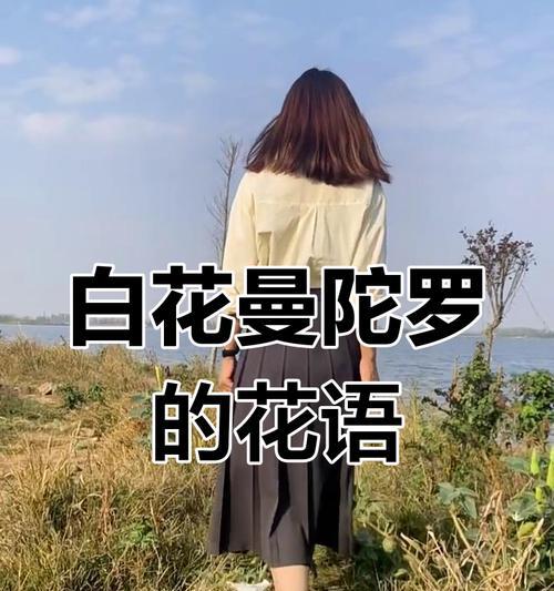各种白色花的花语寓意是什么？