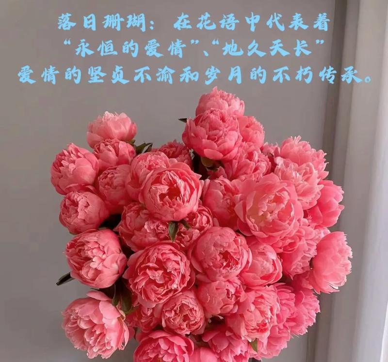 哪种花寓意永恒的爱情？永恒爱情之花有哪些？