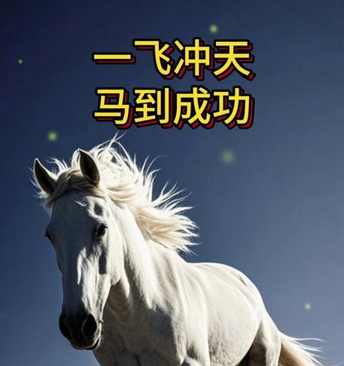 哪种花寓意马到成功？
