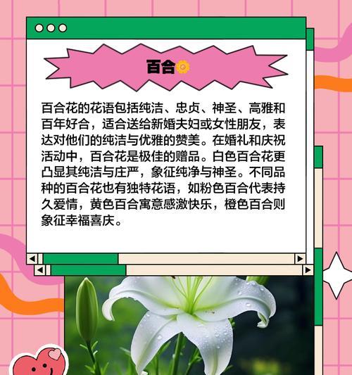 哪种花象征爱情复合？它的花语是什么？