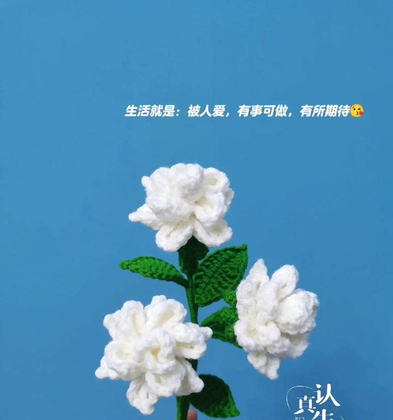蓝色栀子花代表什么？蓝色栀子花的寓意是什么？