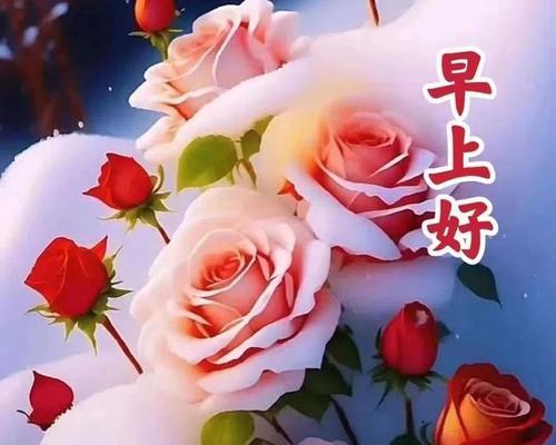 送玫瑰花代表开心快乐吗？