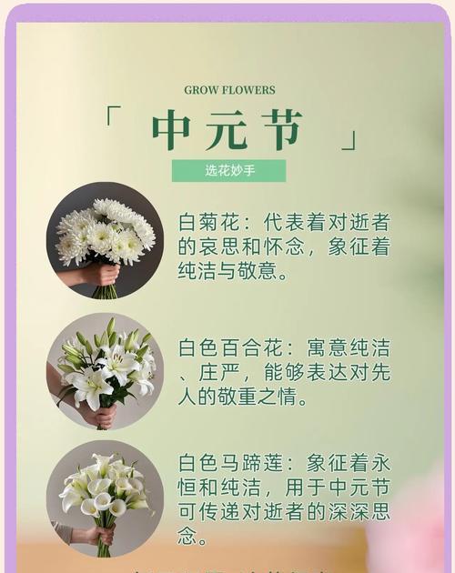 节节花是什么意思？节节花的寓意有哪些？