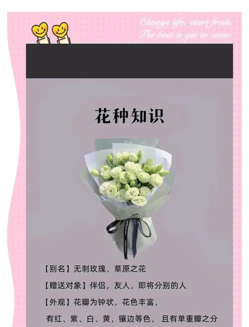 桔梗花的文化含义和象征是什么？