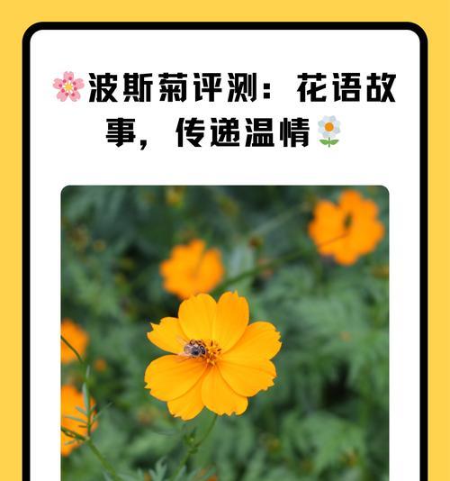 黄色大花气球的寓意是什么？气球的花语有哪些？