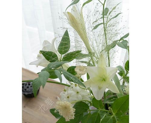 白色的花象征友情是什么?白色花在花束中的意义?