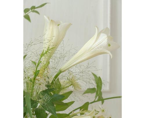 白色的花象征友情是什么？白色花在花束中的意义？