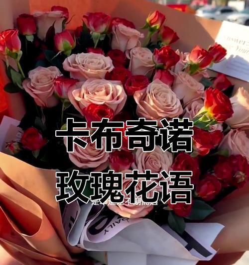 如何用花语重拾甜蜜？有哪些花语可以表达？