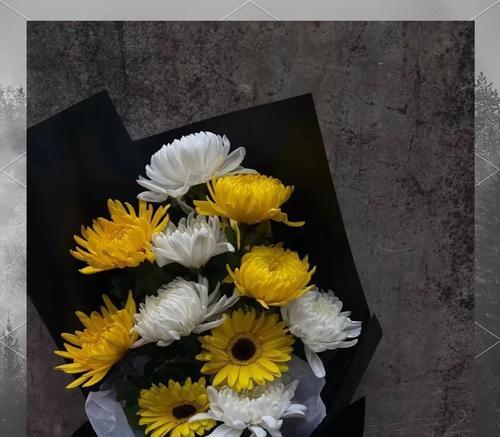 清明节的花语是什么？清明节适合送什么花？