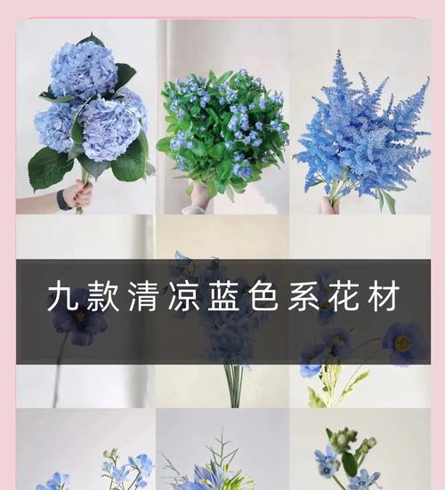 深蓝色的花代表什么？花语与寓意有哪些？