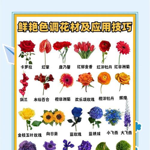 不同颜色的花分别代表什么含义和寓意？