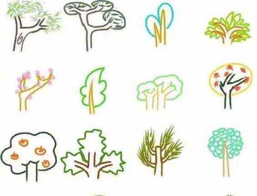 校园里的植物（探寻校园里的绿色景观）