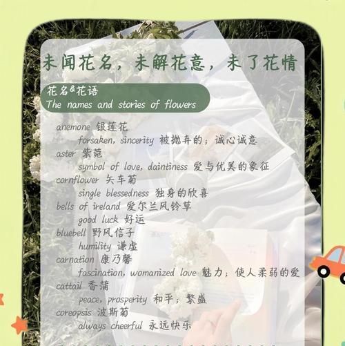蓝玫瑰花的意义与传说（蓝玫瑰花的寓意及文化内涵）