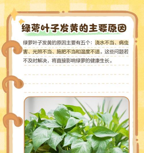 绿萝叶子有毒吗？（了解绿萝的毒性及防范措施）