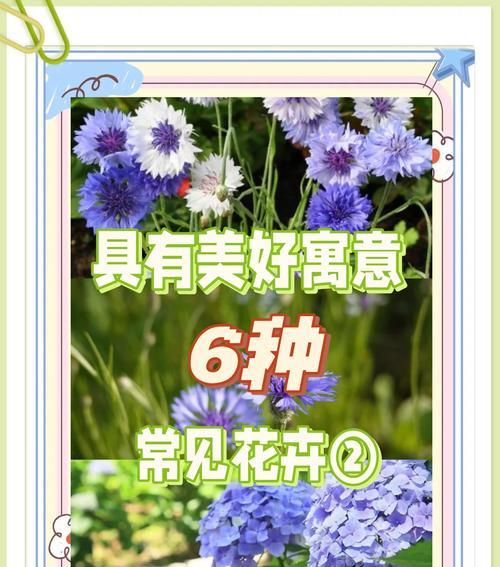 蟹爪莲如何冬季浇水