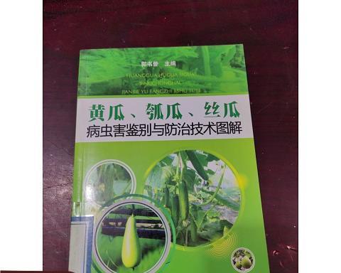 丝瓜病虫害防治技术（有效的防治方法与实用技巧）