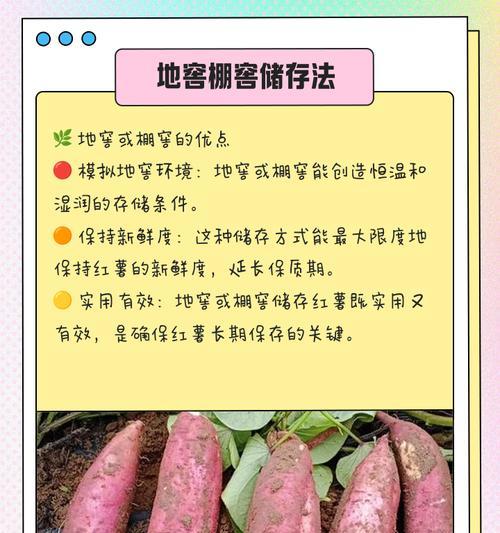红薯采收时间的最佳选择（掌握正确的收获时间，助力丰收）