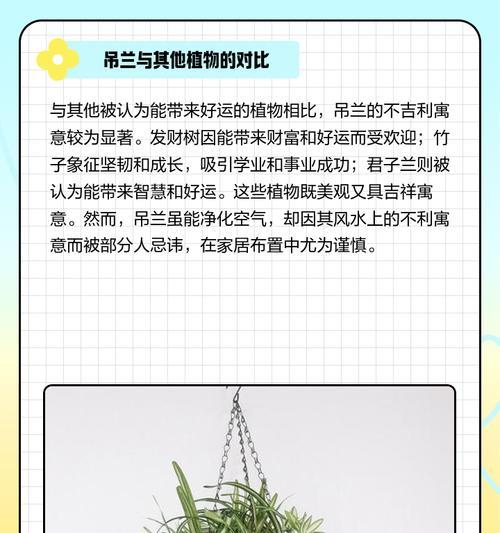 吊兰的开花时间及季节（掌握吊兰开花时间，让你的盆栽更美）