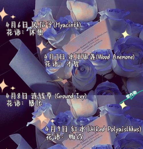 如何科学养护榆树下山桩（掌握关键技巧雕刻出生命之美）