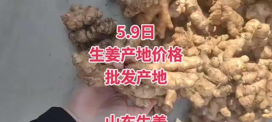 探究生姜的产地与分布情况(生姜产地的分布、区域特色及对生姜品质的影响)
