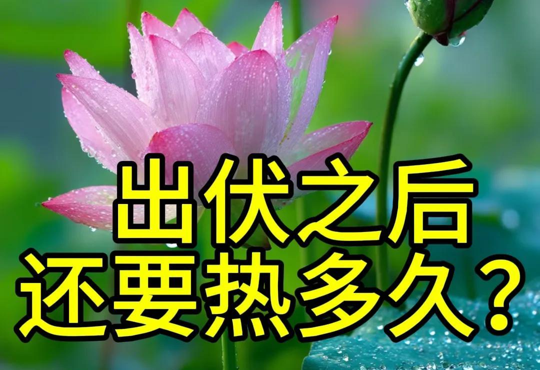 三伏天马上结束了，哪天“出伏”？今年出伏后还热多久？答案来了