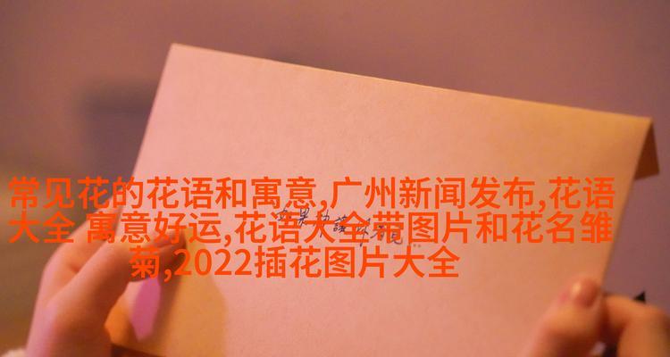 花言巧语，以康乃馨传递祝福（康乃馨花语的神奇力量）