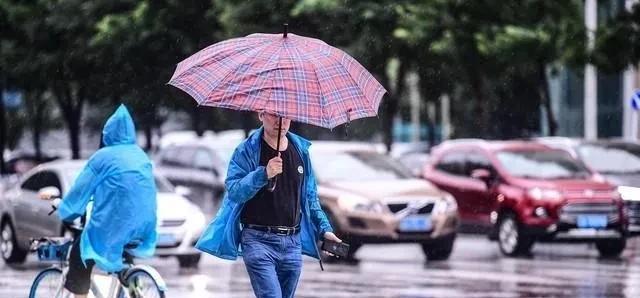 黑龙江新一轮降水来袭！局地大雨+早晨大雾，出行要留心