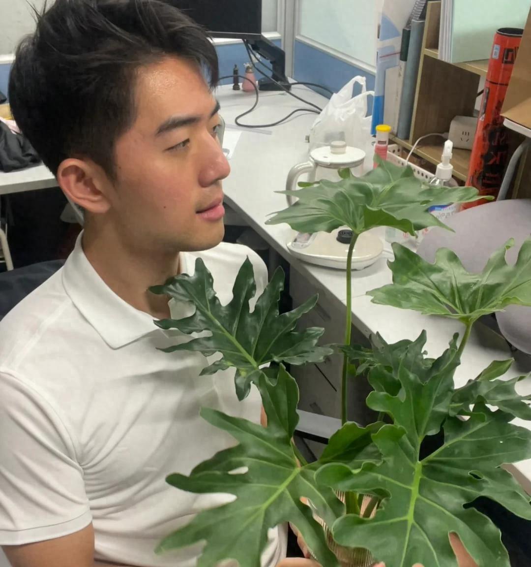 男子被裁员，清理工位上的花，大大小小一拖车：工位当家的代价