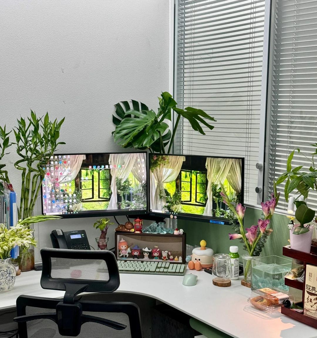 女子工位“养桃子鲜切枝”，竟十分的好看，网友：真的不是p的？